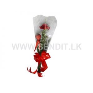 single wrapped rose